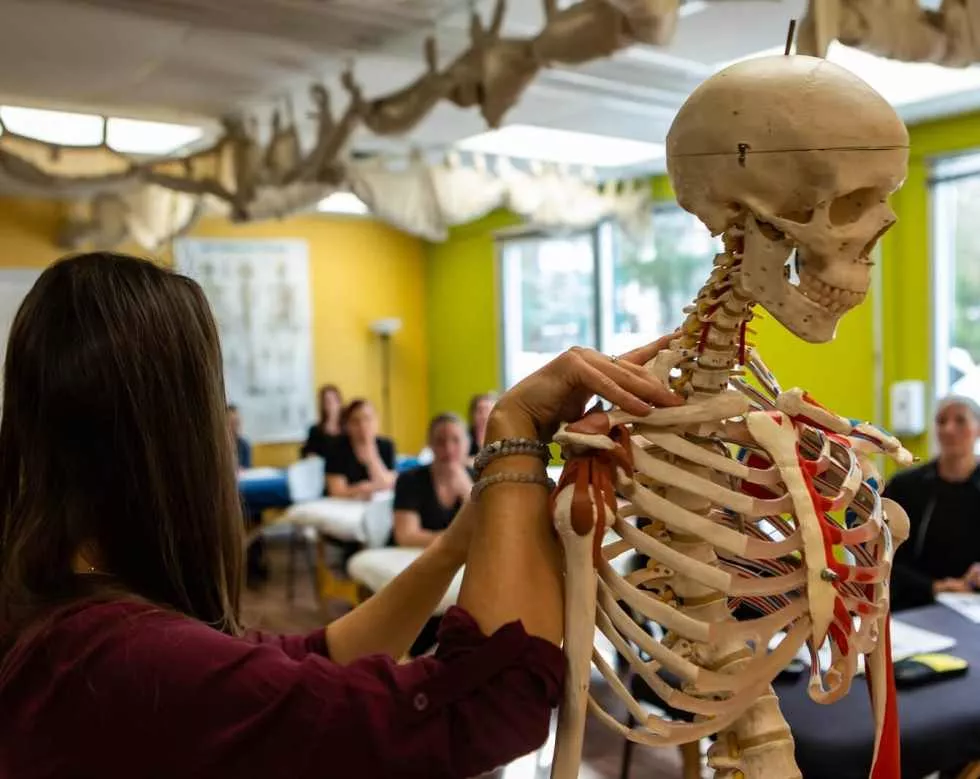curso de osteopatía recomendado en cadiz san fernando