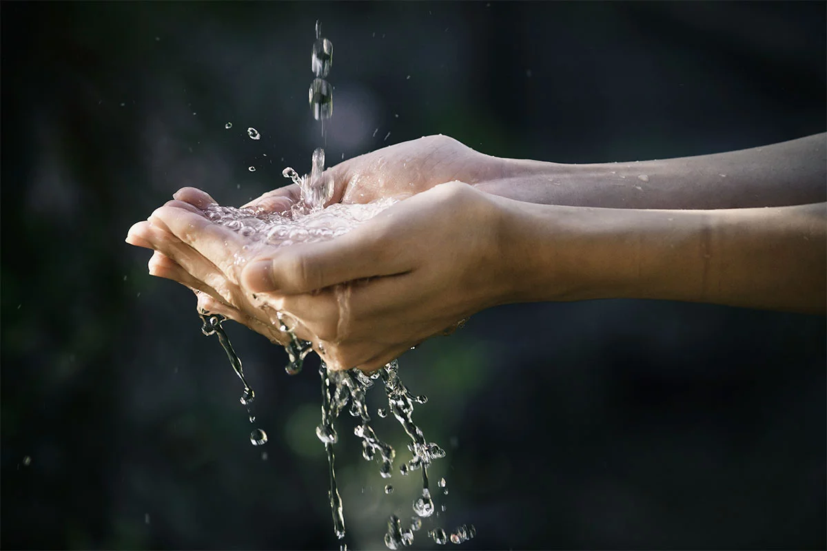 masaru emoto agua